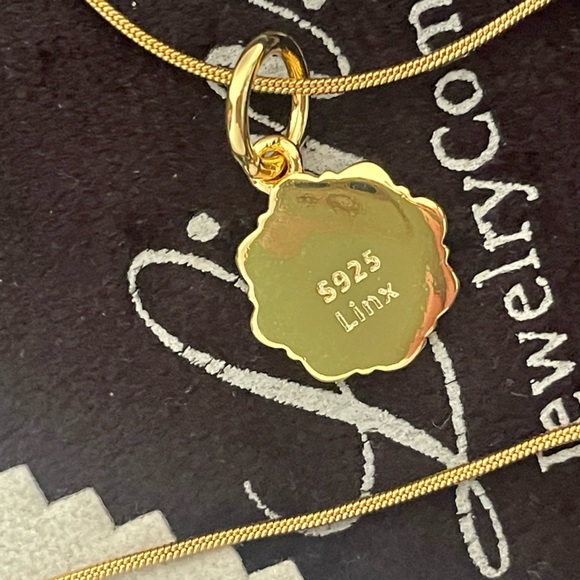 22in Yellow Gold Necklace with Registered Nurse and Stethoscope Charms - Picture 5 of 5